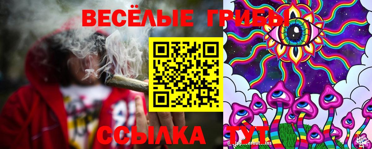 Псилоцибиновые грибы ЛСД Осинники