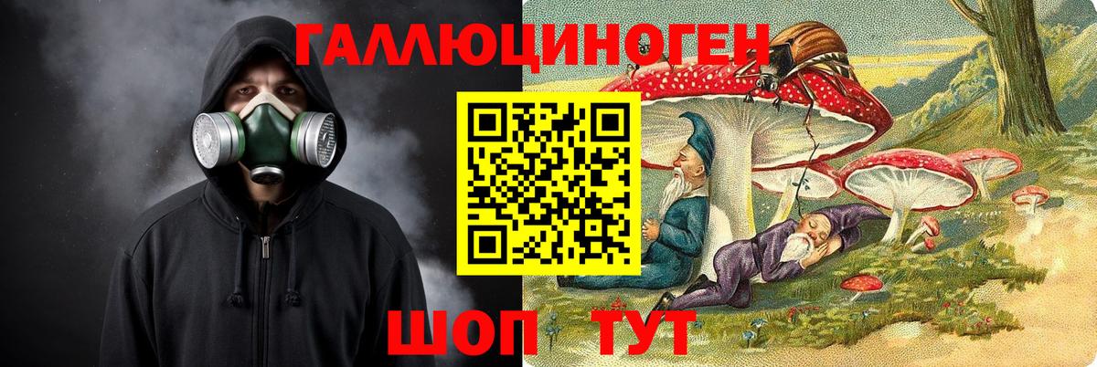Осинники  Псилоцибиновые грибы Magic Shrooms  Вход с VPN 